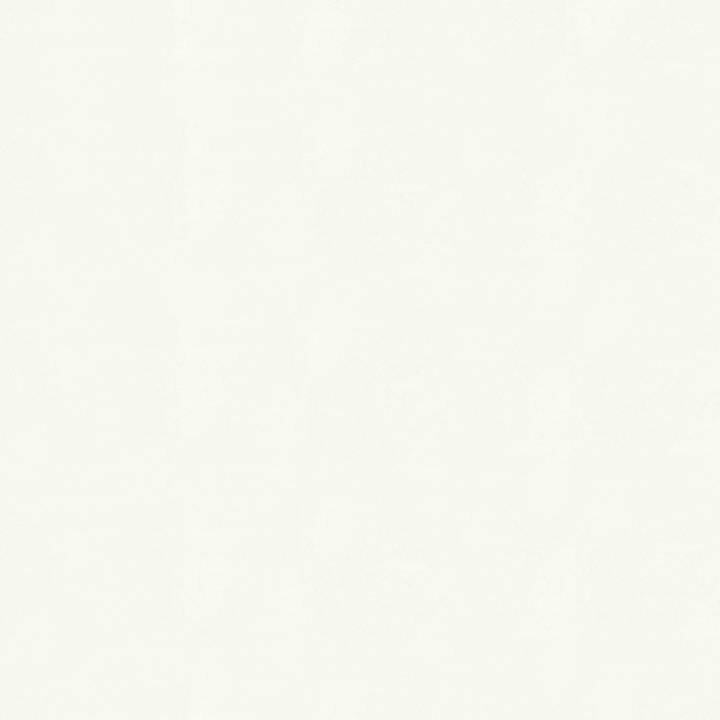 FORMAX H-1203 Starry Sand